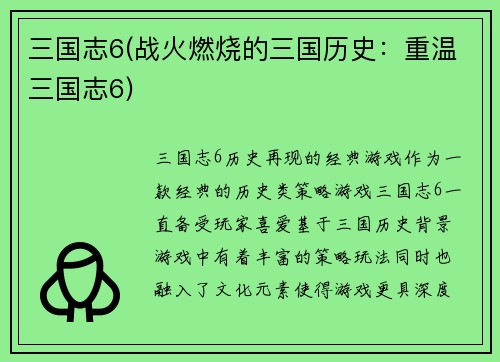 三国志6(战火燃烧的三国历史：重温三国志6)